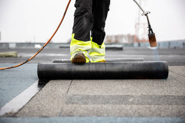 Best Metal Roofing Installation  in Falfurrias, TX